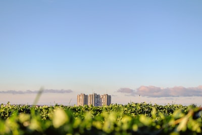 蓝天下的混凝土建筑
